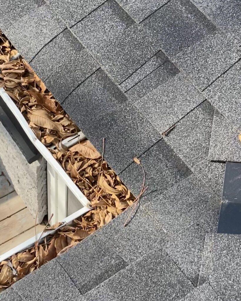 Leafguards and cleaning eavestrough